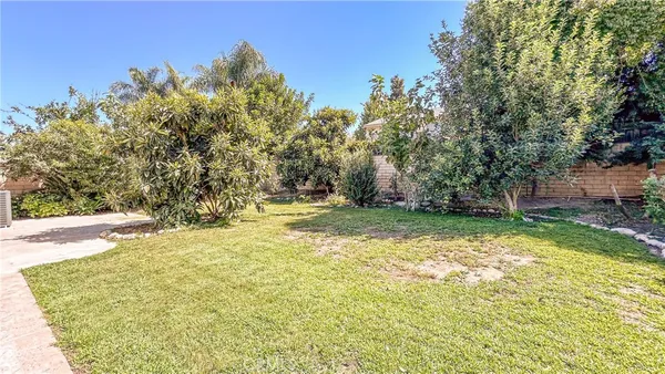 a view of a yard with plants