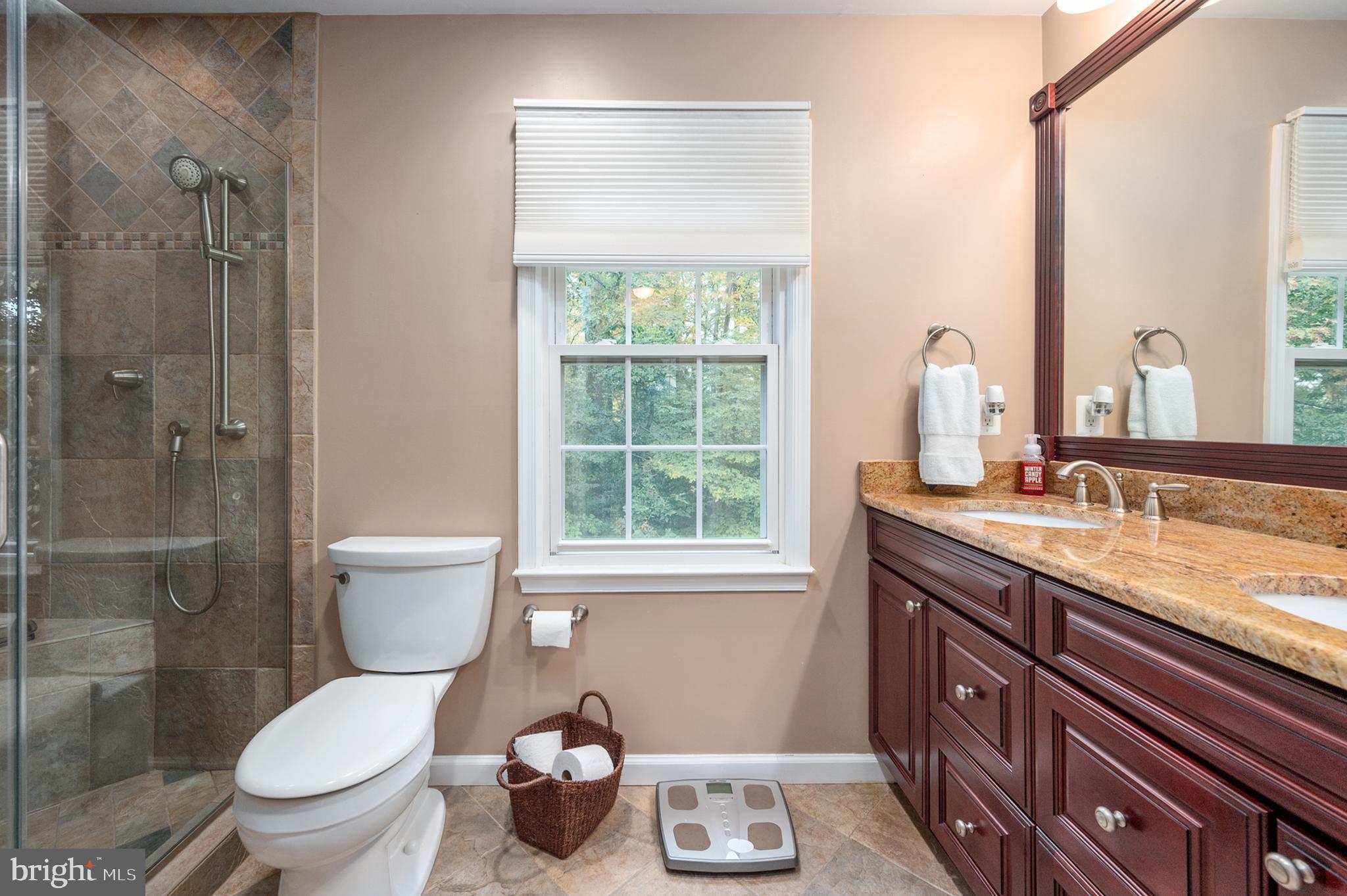 7609 Bertito Lane Springfield, VA 22153 - Photo 36 of 63 High vanity, granite top, lots of drawers.