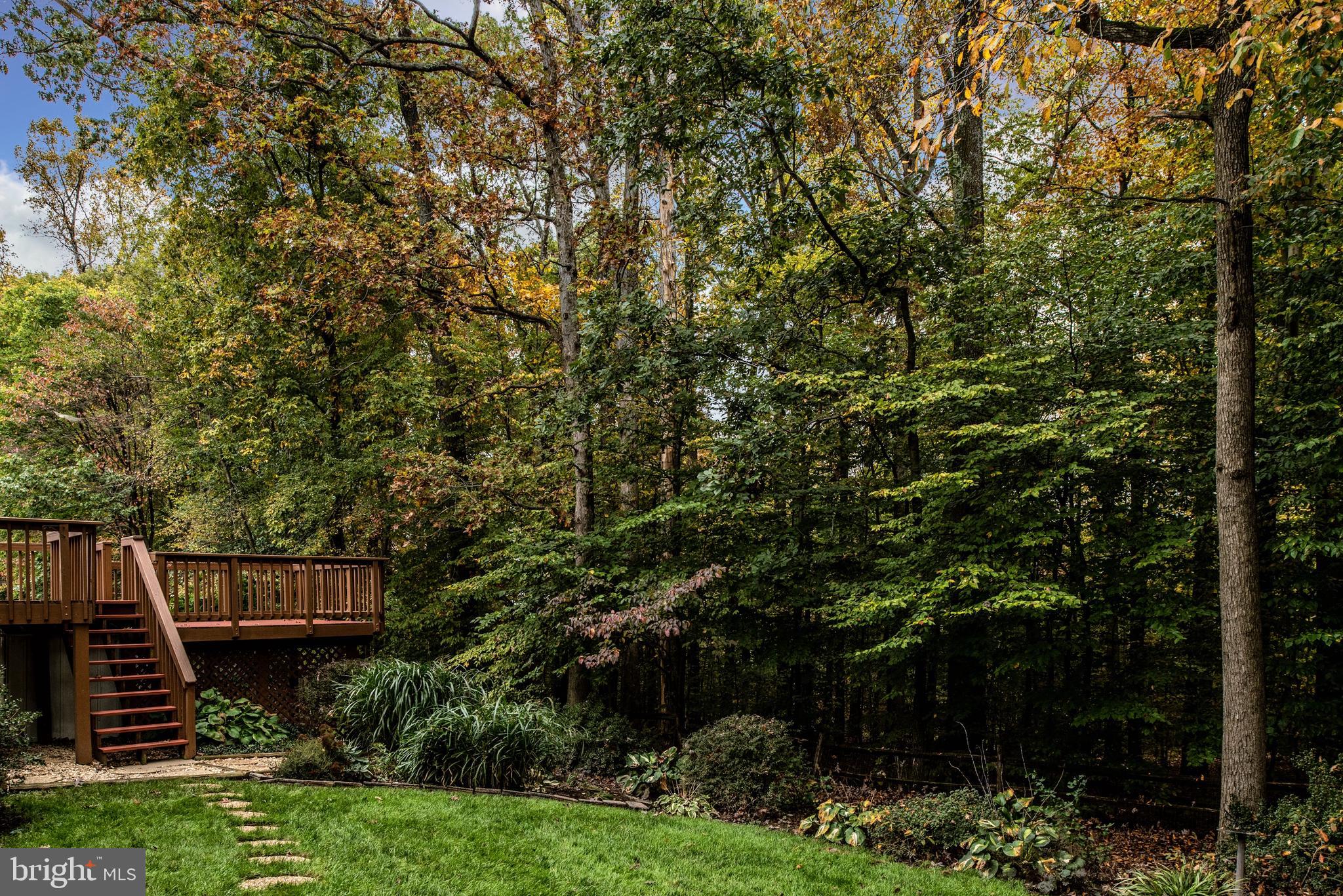 7609 Bertito Lane Springfield, VA 22153 - Photo 60 of 63 Stone walkway in backyard retreat.