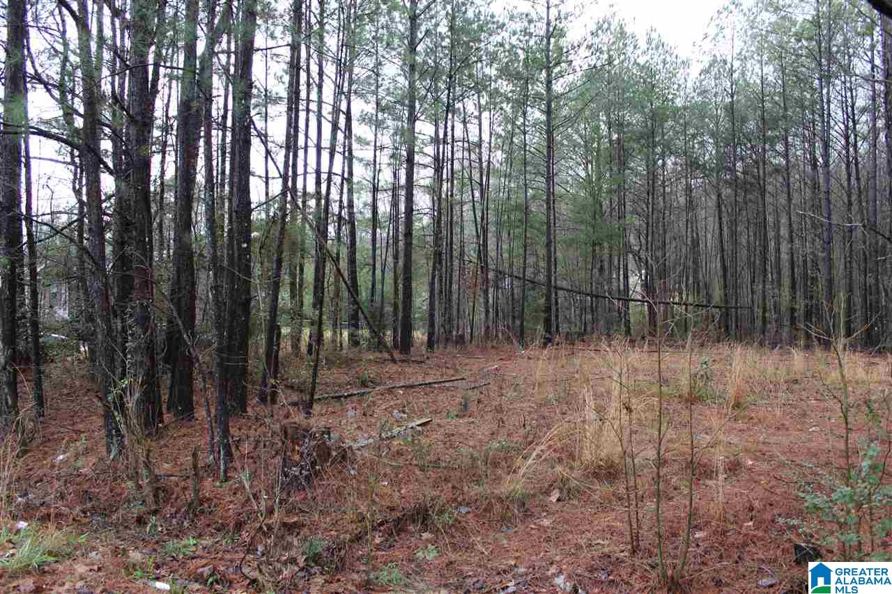 0 Fitzgerald Road Oxford, AL 36203 - Photo 8 of 44