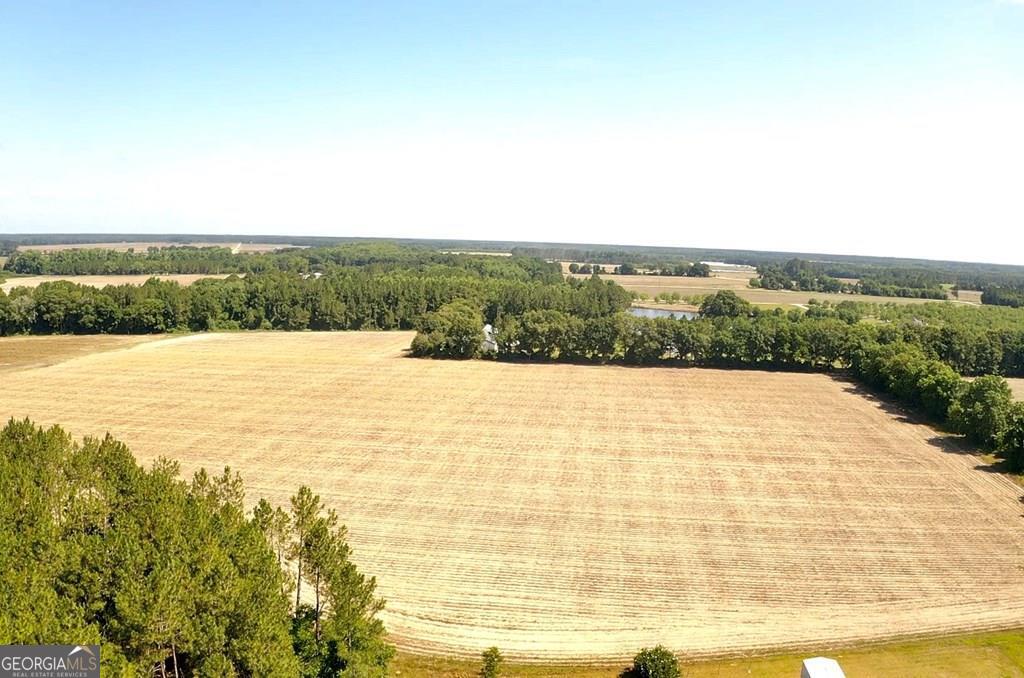 236 Barnes Hill Road Baxley, GA 31513 - Photo 1 of 1 Main View