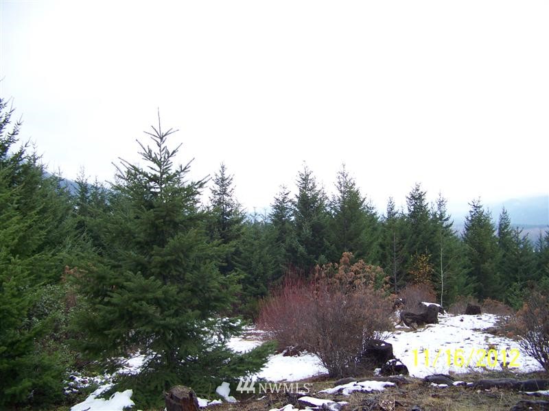 2 Off Filbert Road Cle Elum, WA 98922 - Photo 5 of 8
