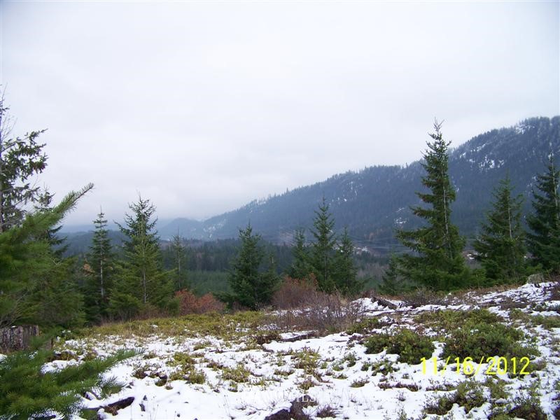 2 Off Filbert Road Cle Elum, WA 98922 - Photo 8 of 8