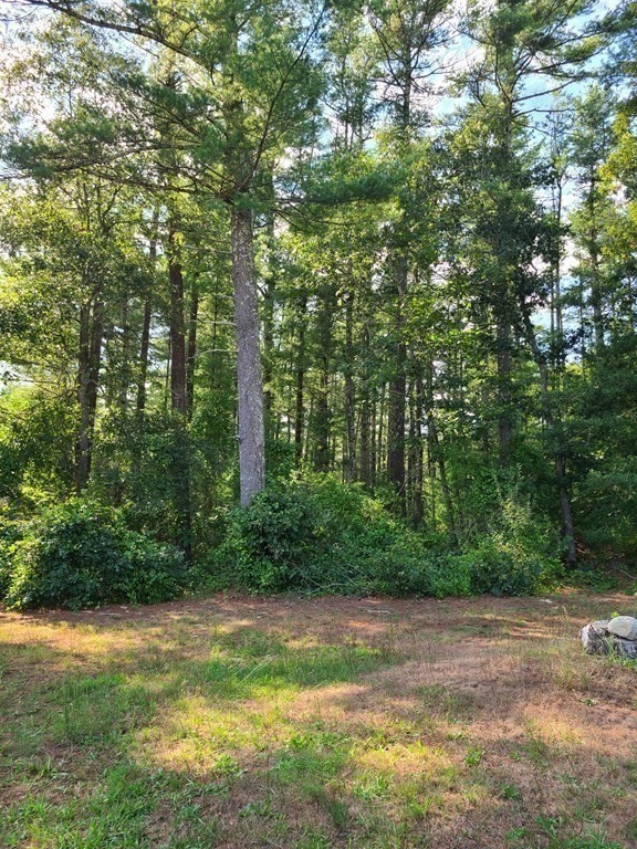 199 New Bedford Road Rochester, MA 02770 - Photo 20 of 20 a view of a yard with a tree
