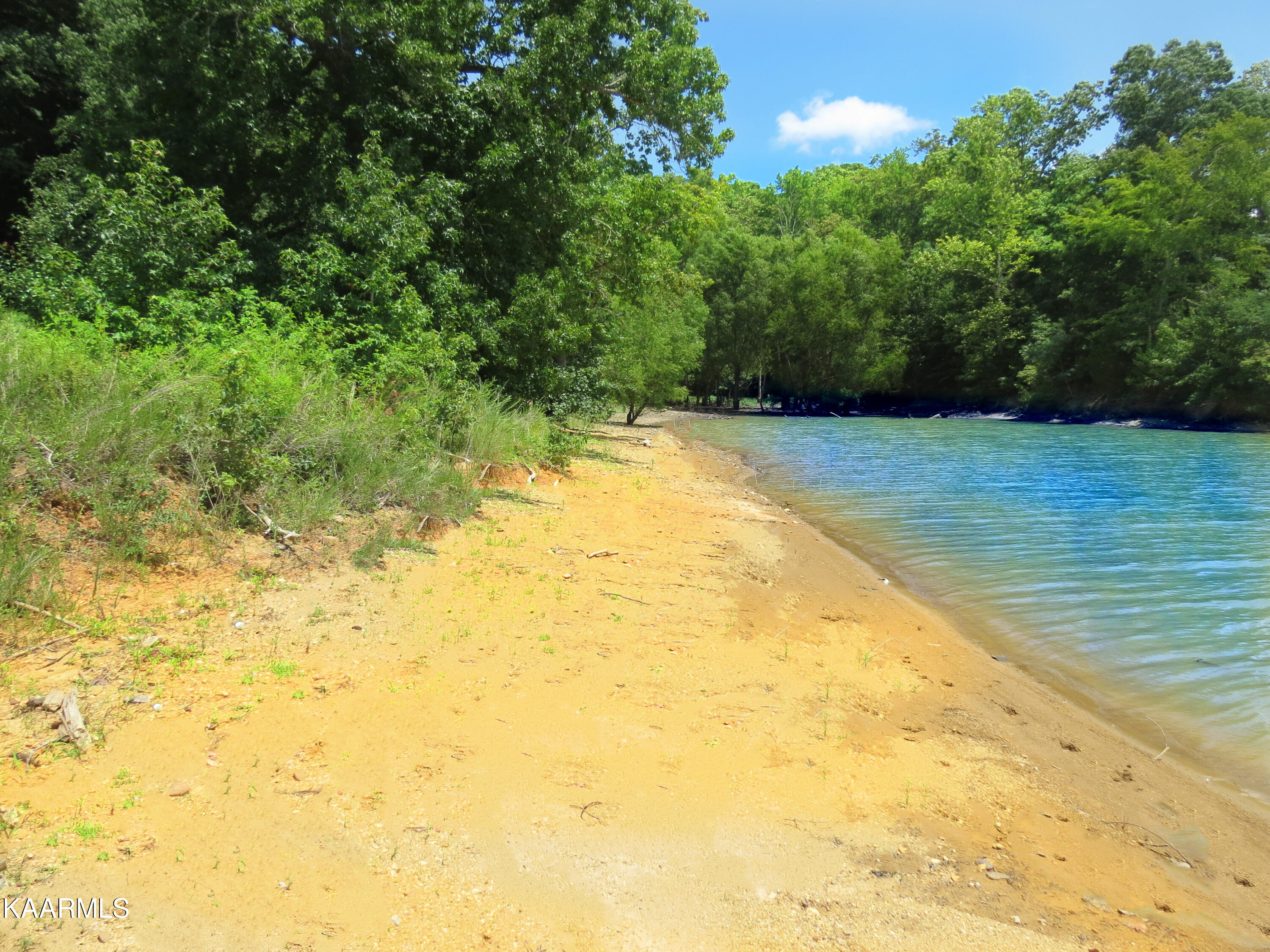 Lot 25 Devon Way Road White Pine, TN 37890 - Photo 1 of 12 Devon 14