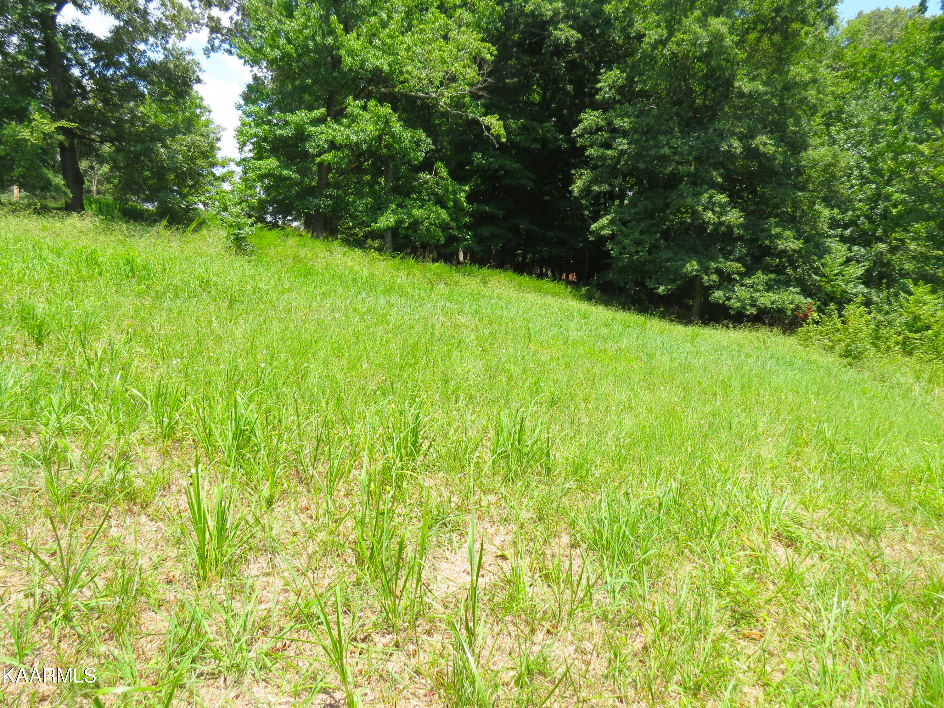 Lot 25 Devon Way Road White Pine, TN 37890 - Photo 12 of 12 Devon14