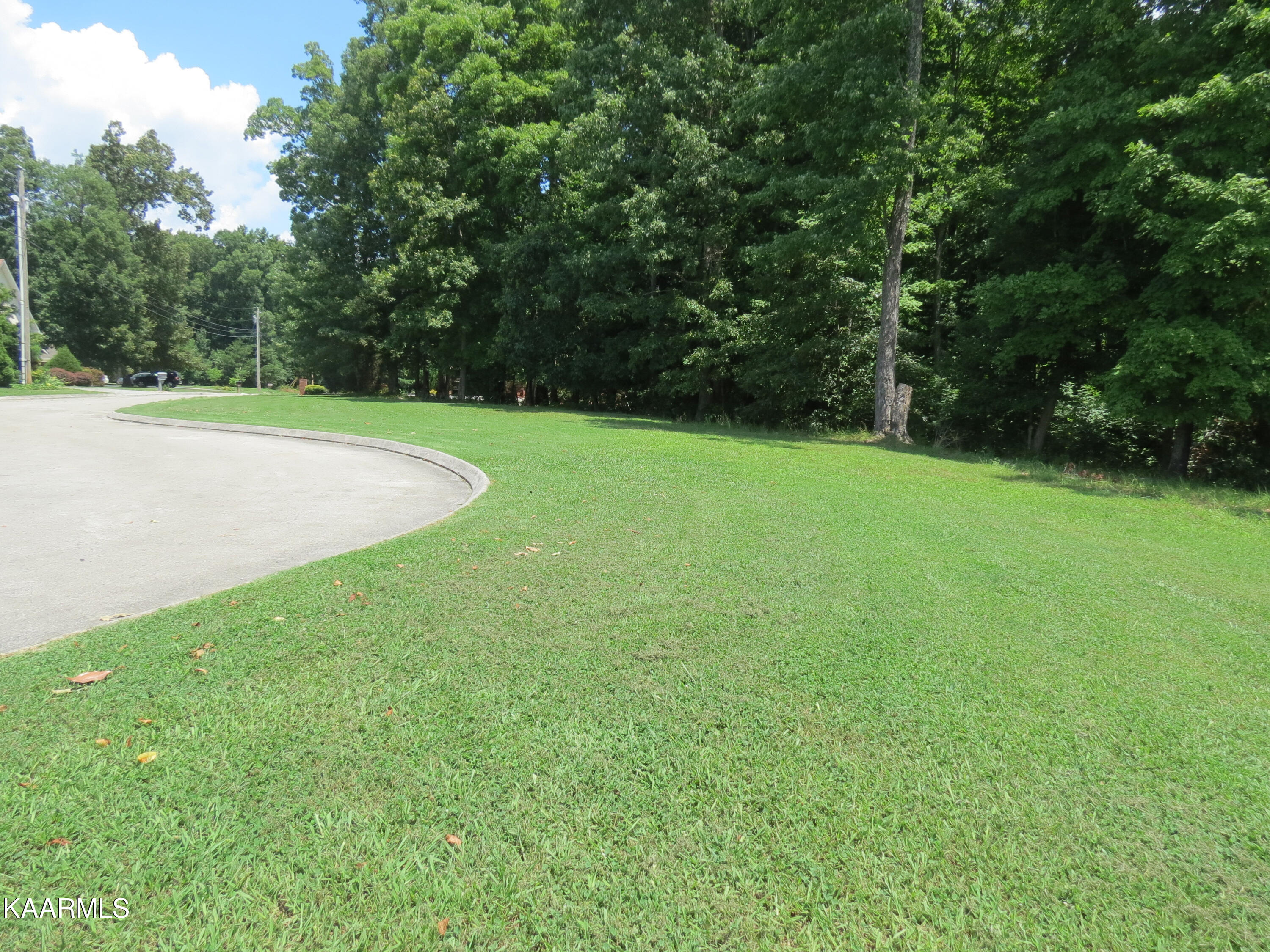 Lot 25 Devon Way Road White Pine, TN 37890 - Photo 4 of 12 Devon 3