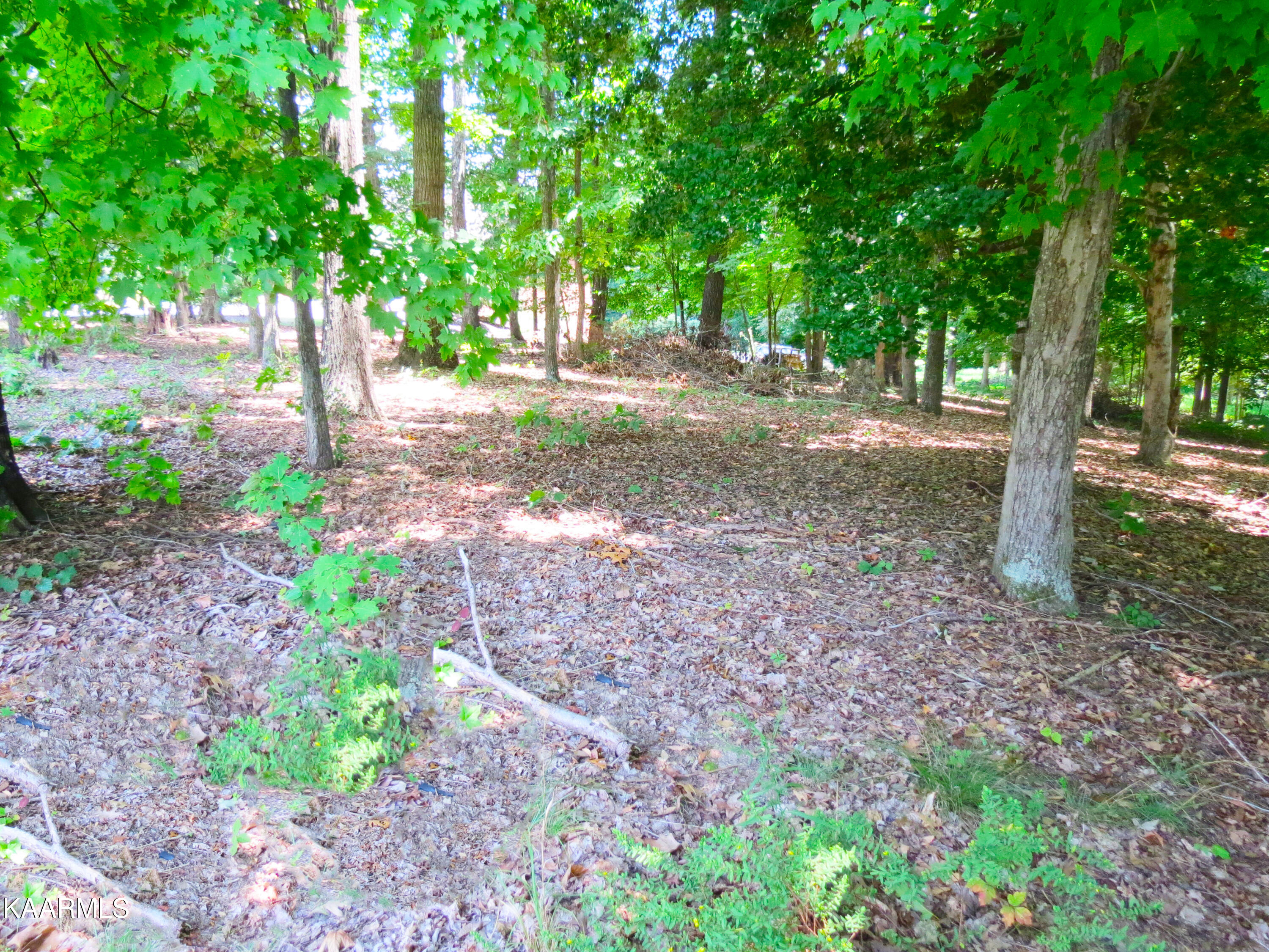 Lot 25 Devon Way Road White Pine, TN 37890 - Photo 10 of 12 Devon7