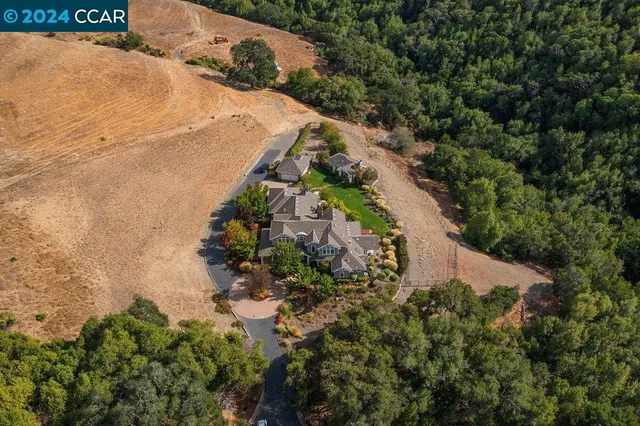 a view of a big yard with plants and large trees