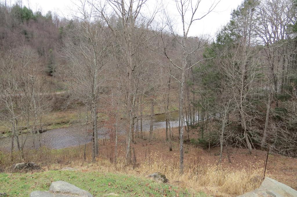 Tbd Pridemoore Road, Unit 2 Galax, VA 24333 - Photo 63 of 72 Gallery Image 63