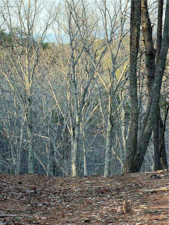 0 Arnold Road Fairmount, GA 30139 - Photo 51 of 54 Gallery Image 51