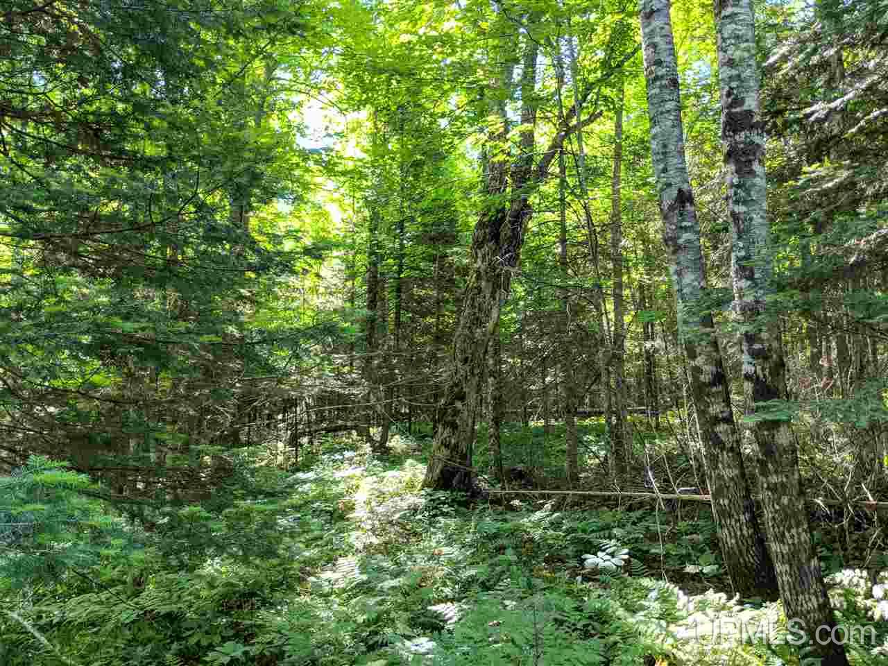 33-ac Bates Amasa Road Crystal Falls, MI 49920 - Photo 6 of 11