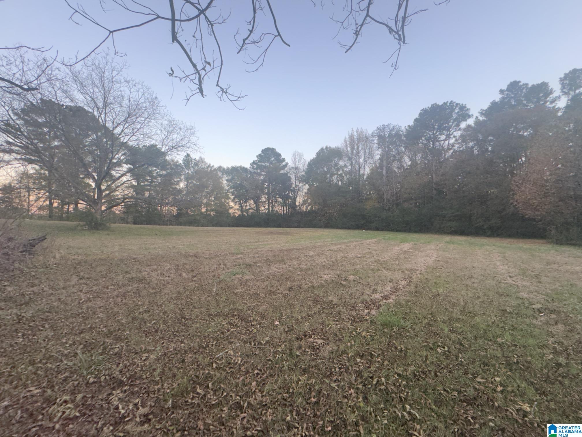 1020 Rosenwald Street Moulton, AL 35650 - Photo 11 of 11