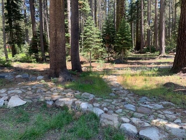 21164 Donner Pass Road Soda Springs, CA 95728 - Photo 6 of 19 Gallery Image 6