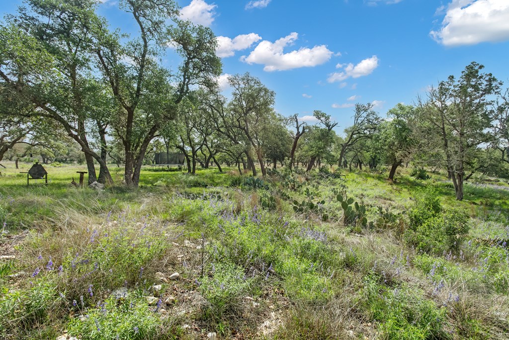 181 Real Lake House Road South Kerrville, TX 78028 - Photo 7 of 18 a view of a garden with an trees