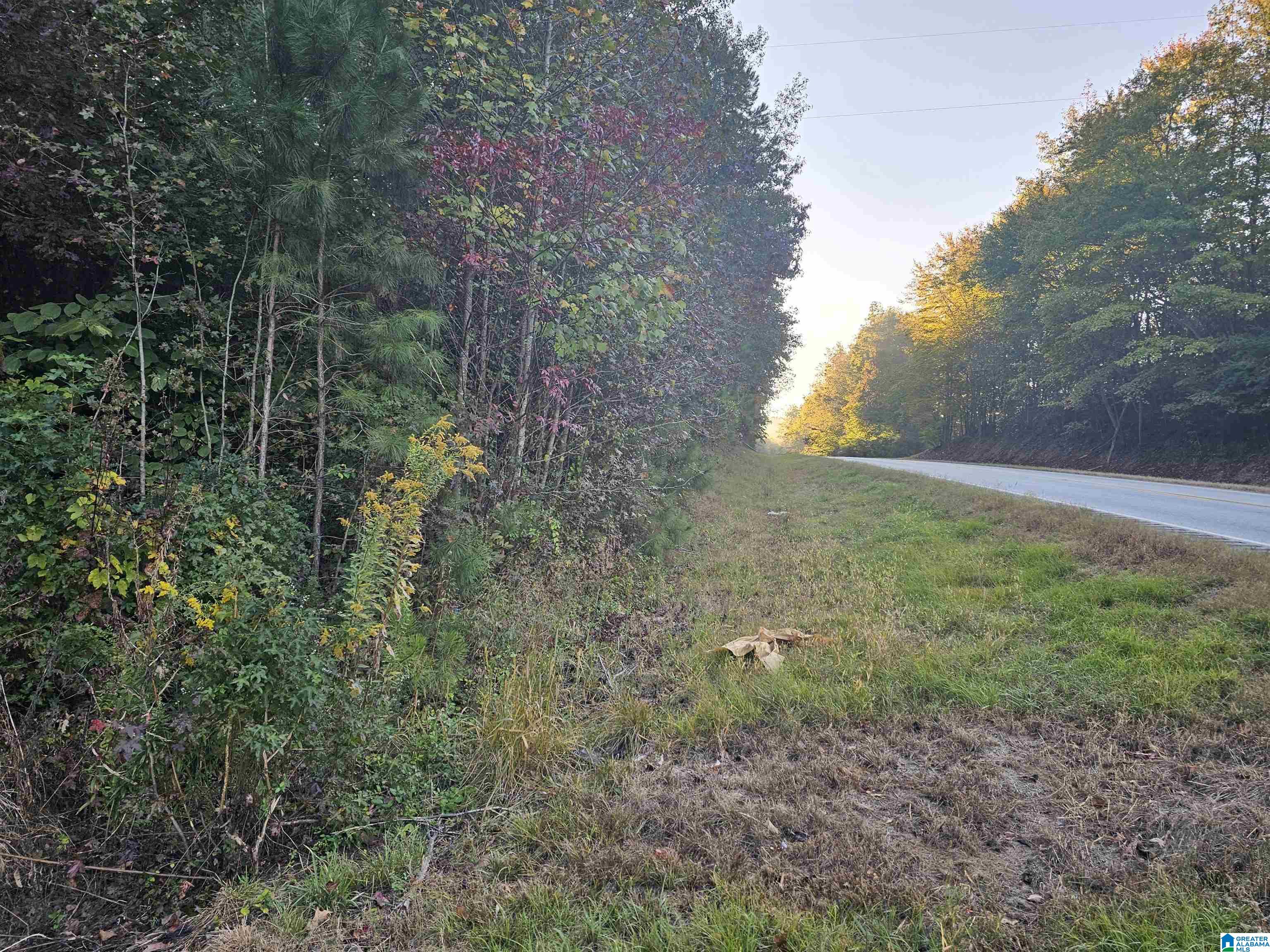46 County Road 625 Ranburne, AL 36273 - Photo 1 of 5