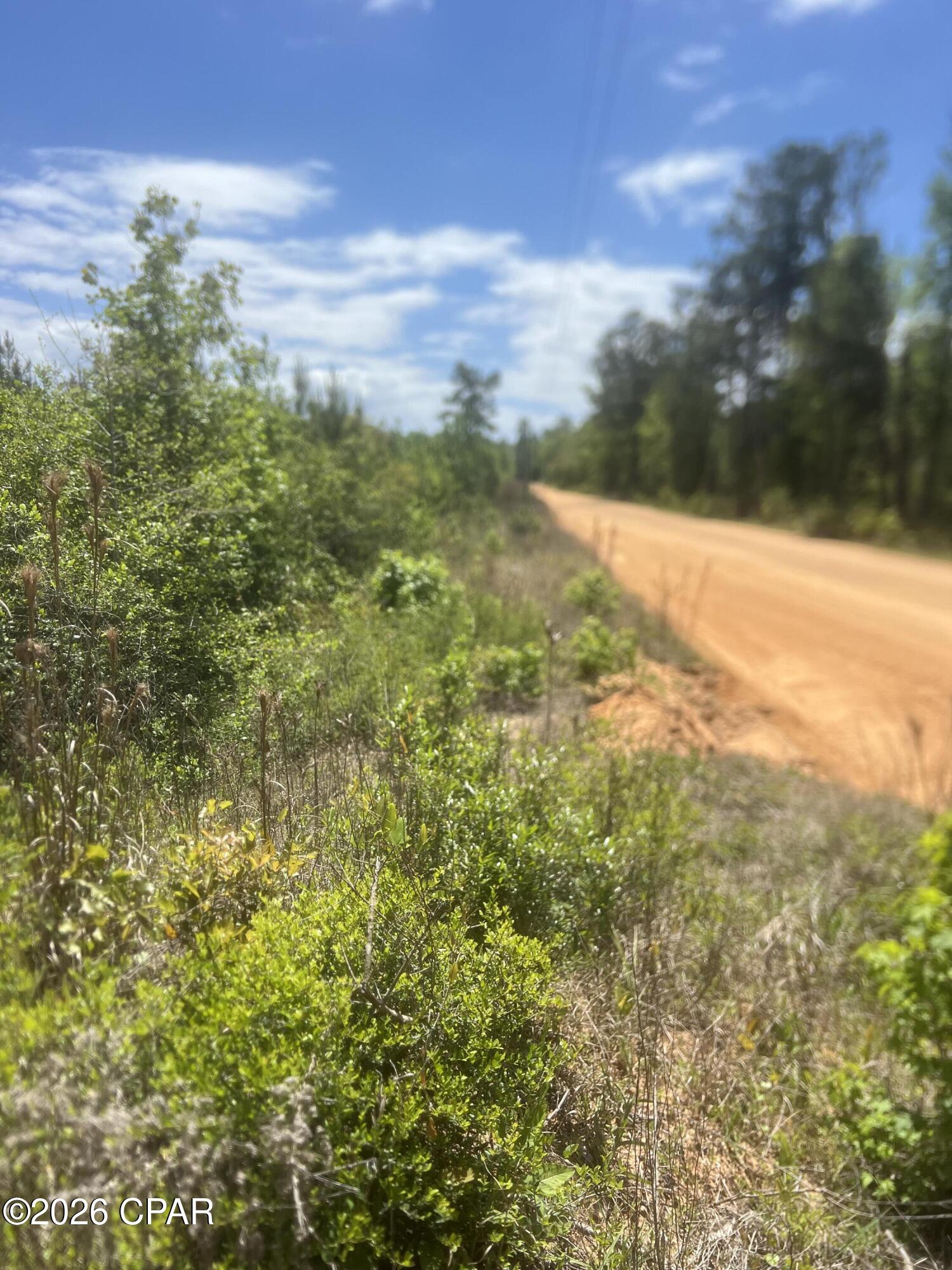 0 Goodman Hill Road Chipley, FL 32428 - Photo 4 of 7