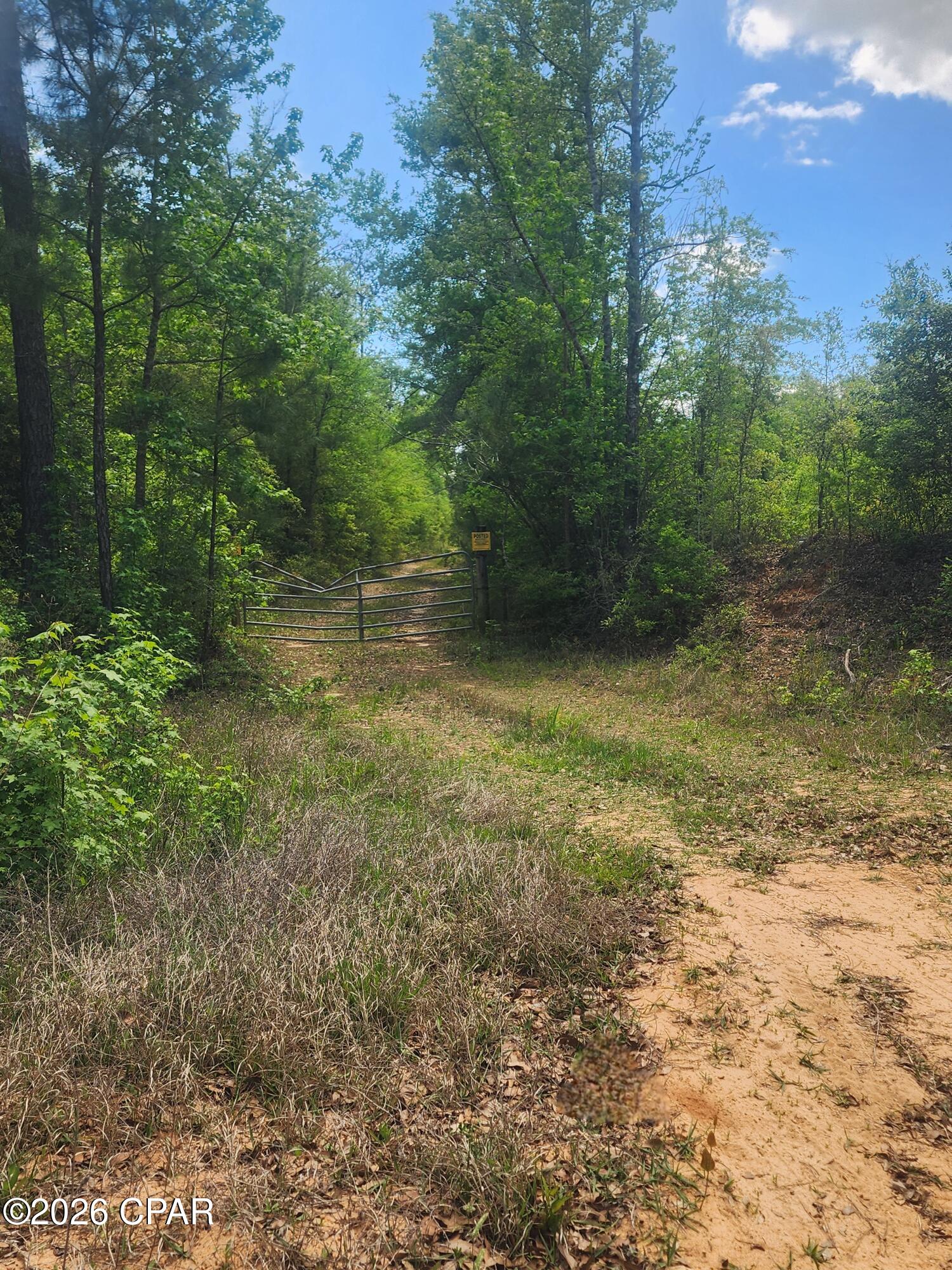 0 Goodman Hill Road Chipley, FL 32428 - Photo 5 of 7