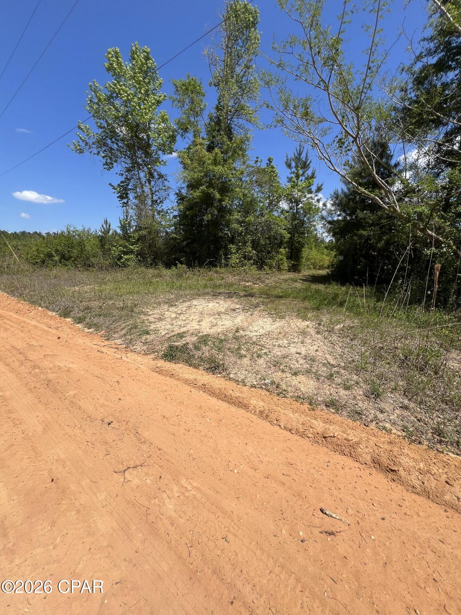 0 Goodman Hill Road Chipley, FL 32428 - Photo 6 of 7