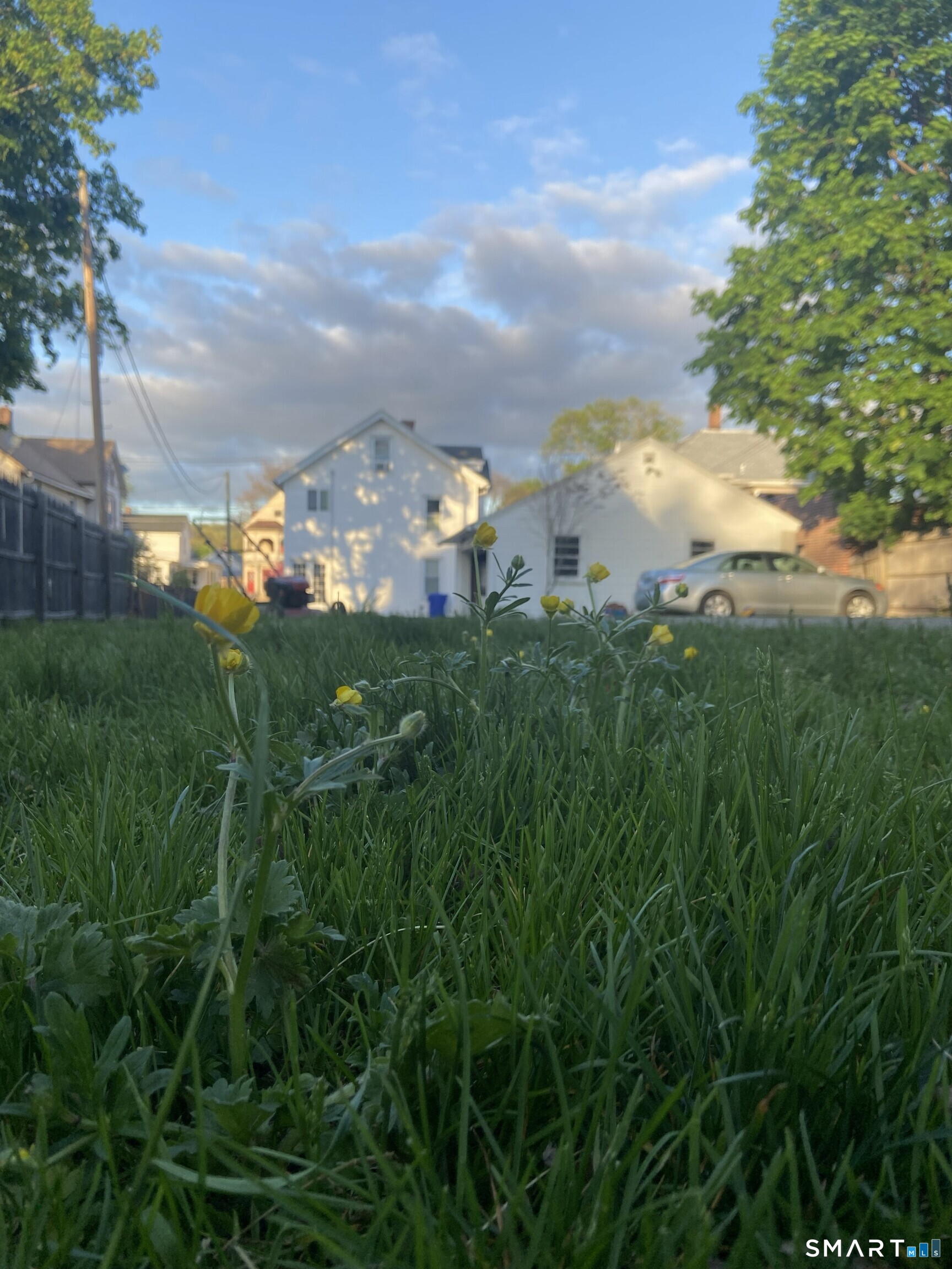 264 South Main Street Torrington, CT 06790 - Photo 8 of 39 Backyard