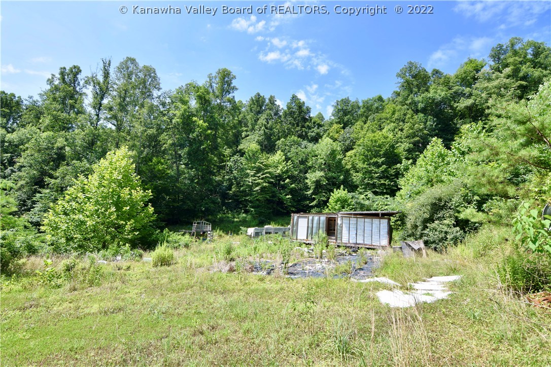 2302 Big Sandy Creek Road Left Hand, WV 25251 - Photo 11 of 12 Gallery Image 11