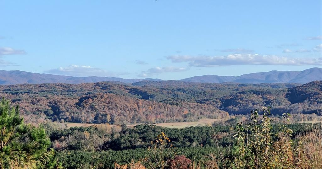 169 Bob White Road Ocoee, TN 37361 - Photo 8 of 20 Gallery Image 8