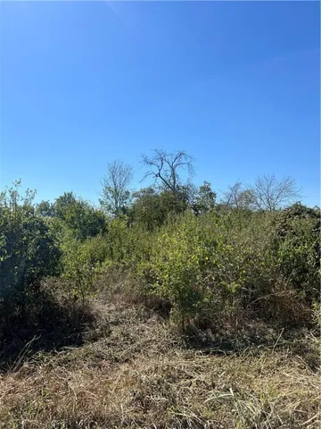 $30,000 | Tbd Seeley Avenue South, Mount Calm, TX 76673