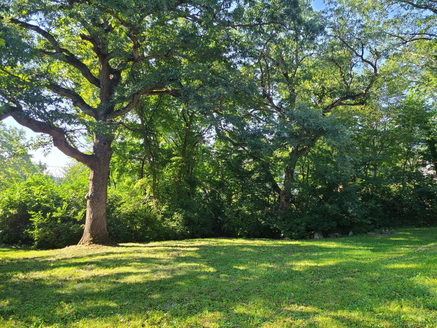 2871 East 777th Road Utica, IL 61373 - Photo 14 of 19 a view of a grassy field with trees in the background