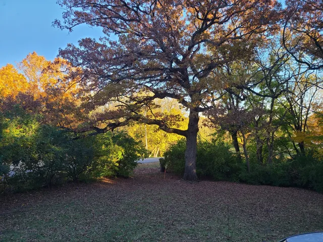 $2,600 | 2871 East 777th Road, Utica, IL 61373