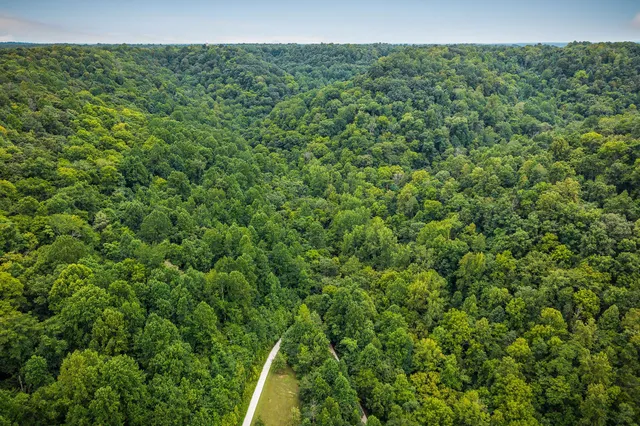 $434,000 | 49 Duck Hollow Road, Elmwood, TN 38560