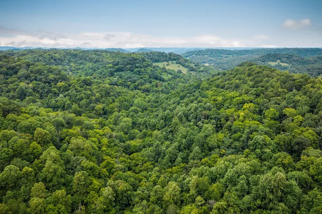 $434,000 | 49 Duck Hollow Road, Elmwood, TN 38560