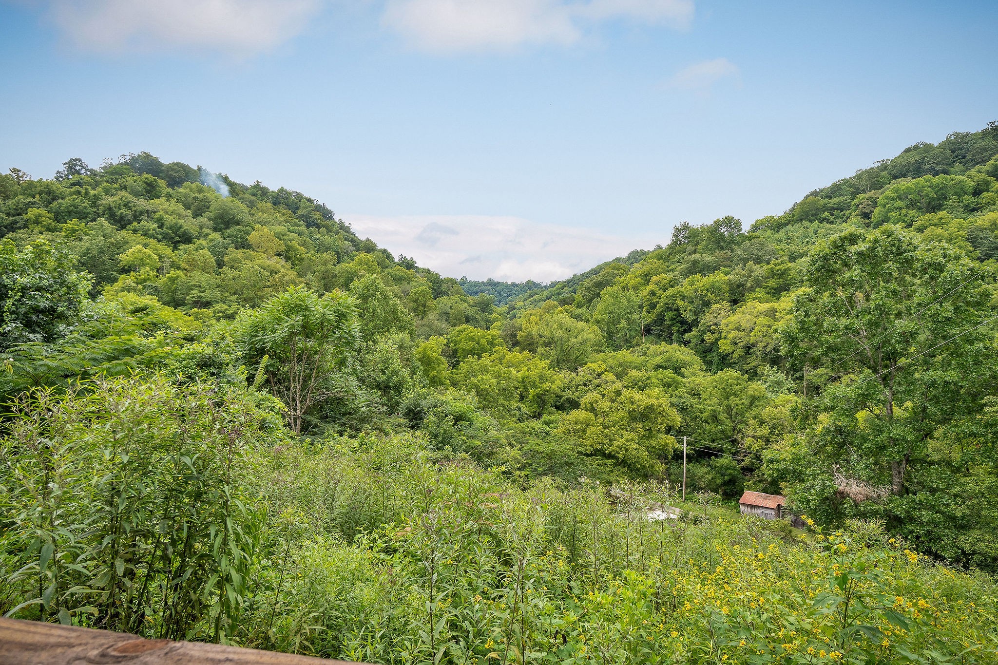 49 Duck Hollow Road Elmwood, TN 38560 - Photo 22 of 24