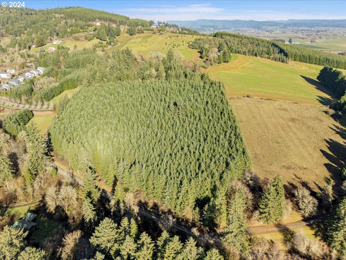 45157 Northwest David Hill Road Forest Grove, OR 97116 - Photo 1 of 15 a view of lake and mountain