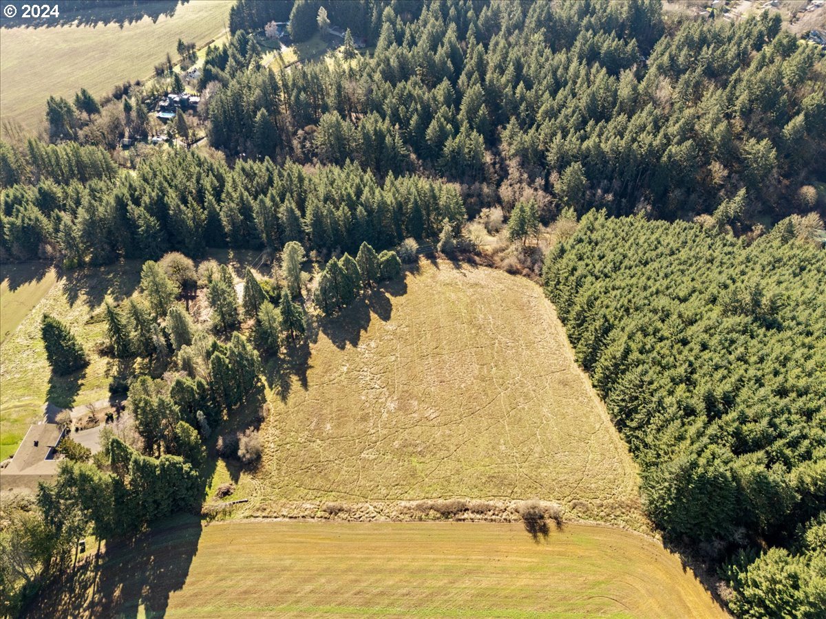 45157 Northwest David Hill Road Forest Grove, OR 97116 - Photo 11 of 15