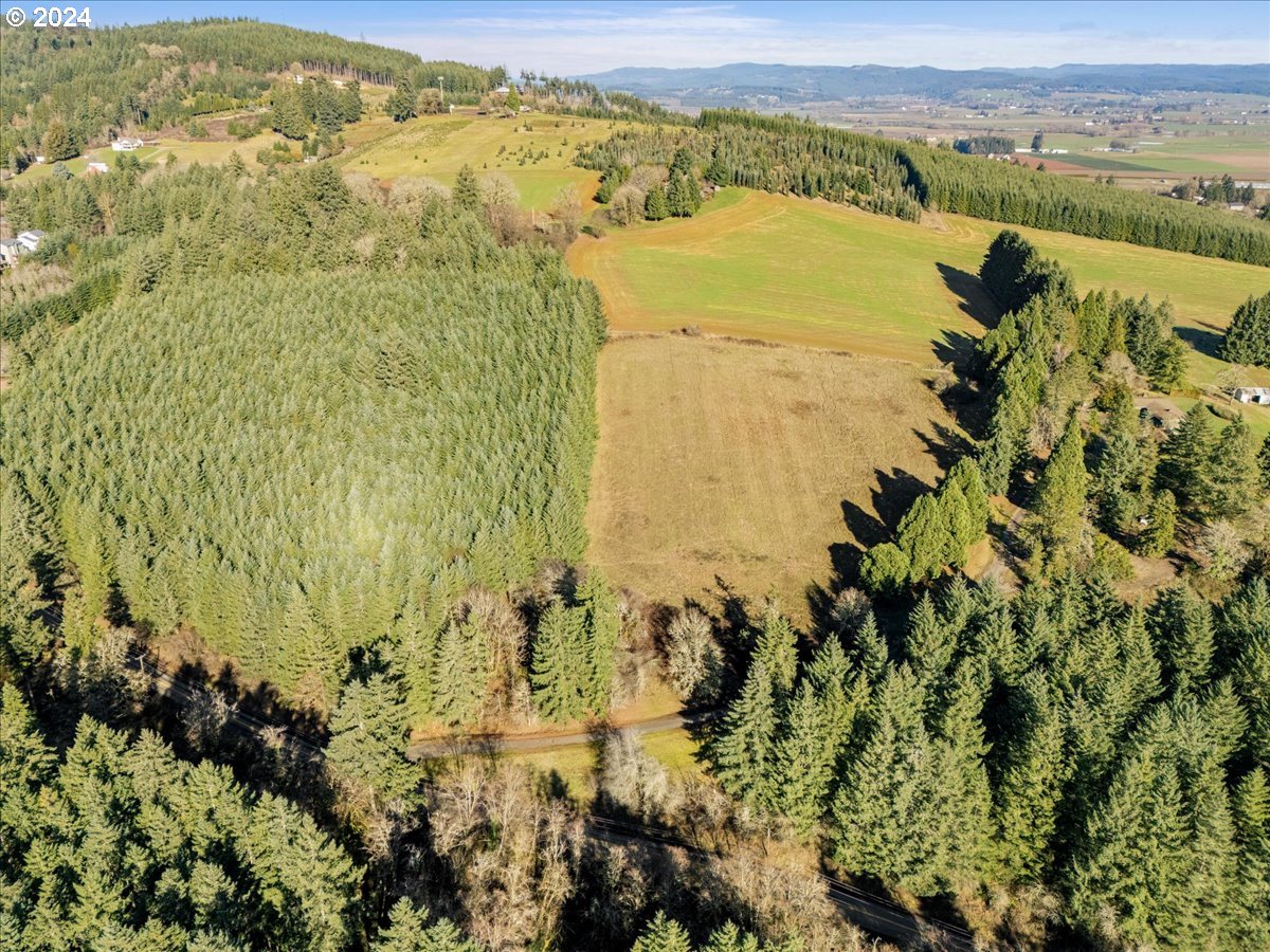 45157 Northwest David Hill Road Forest Grove, OR 97116 - Photo 2 of 15 a view of a lake with a mountain in the background