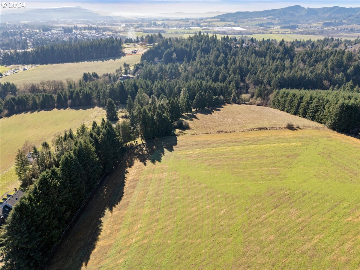 45157 Northwest David Hill Road Forest Grove, OR 97116 - Photo 4 of 15 a view of a lake and mountain view