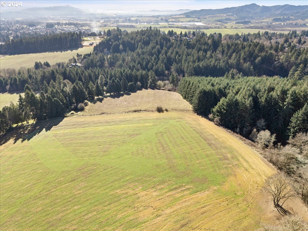 45157 Northwest David Hill Road Forest Grove, OR 97116 - Photo 5 of 15 a view of a lake view and mountain view
