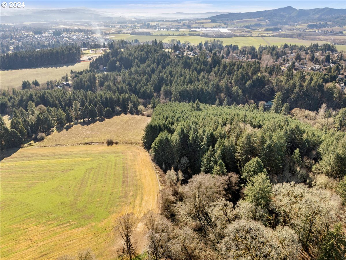 45157 Northwest David Hill Road Forest Grove, OR 97116 - Photo 6 of 15 a view of a lake with a mountain