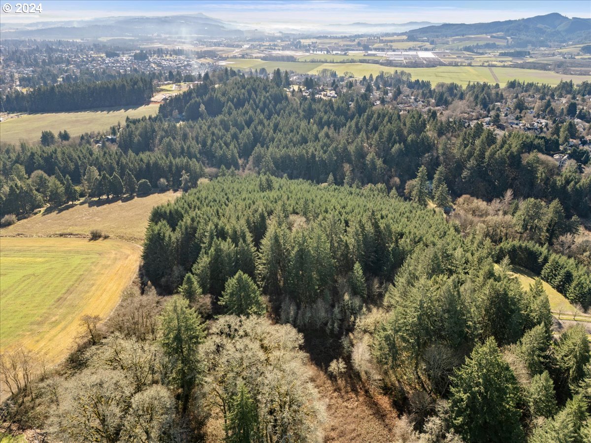 45157 Northwest David Hill Road Forest Grove, OR 97116 - Photo 7 of 15 a view of a lake with mountains in the background