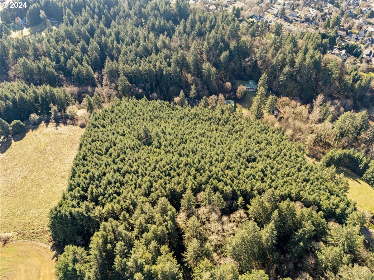 45157 Northwest David Hill Road Forest Grove, OR 97116 - Photo 10 of 15 a view of a yard with plants and tree