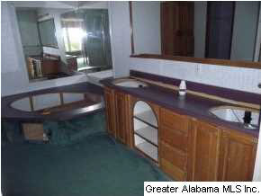 245 Wet Cat Road Hayden, AL 35079 - Photo 4 of 13