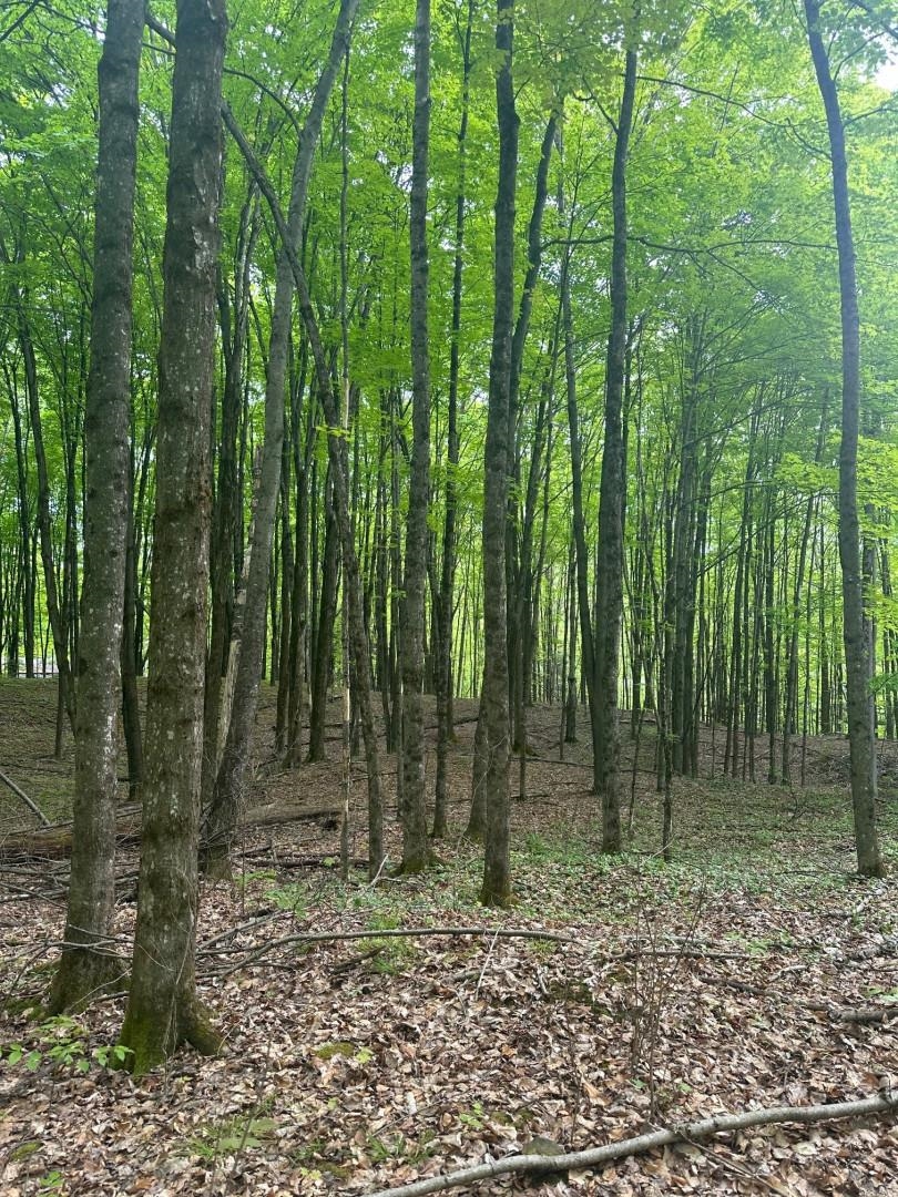 0 Observatory Road, Unit 8 Hinesburg, VT 05461 - Photo 5 of 9