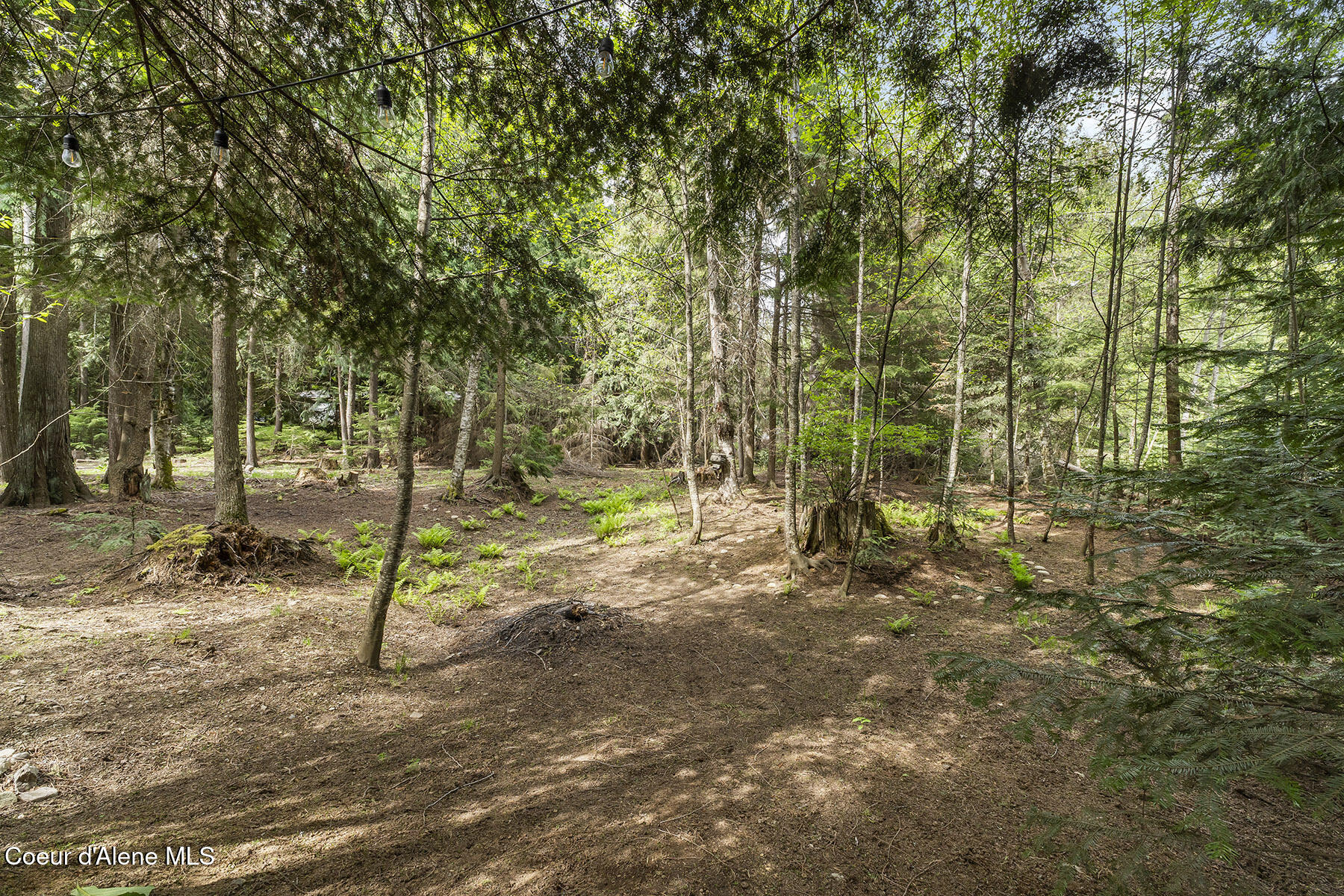 84 Big Burl Road Sagle, ID 83860 - Photo 45 of 46 84-Big-Burl-Rd-2568