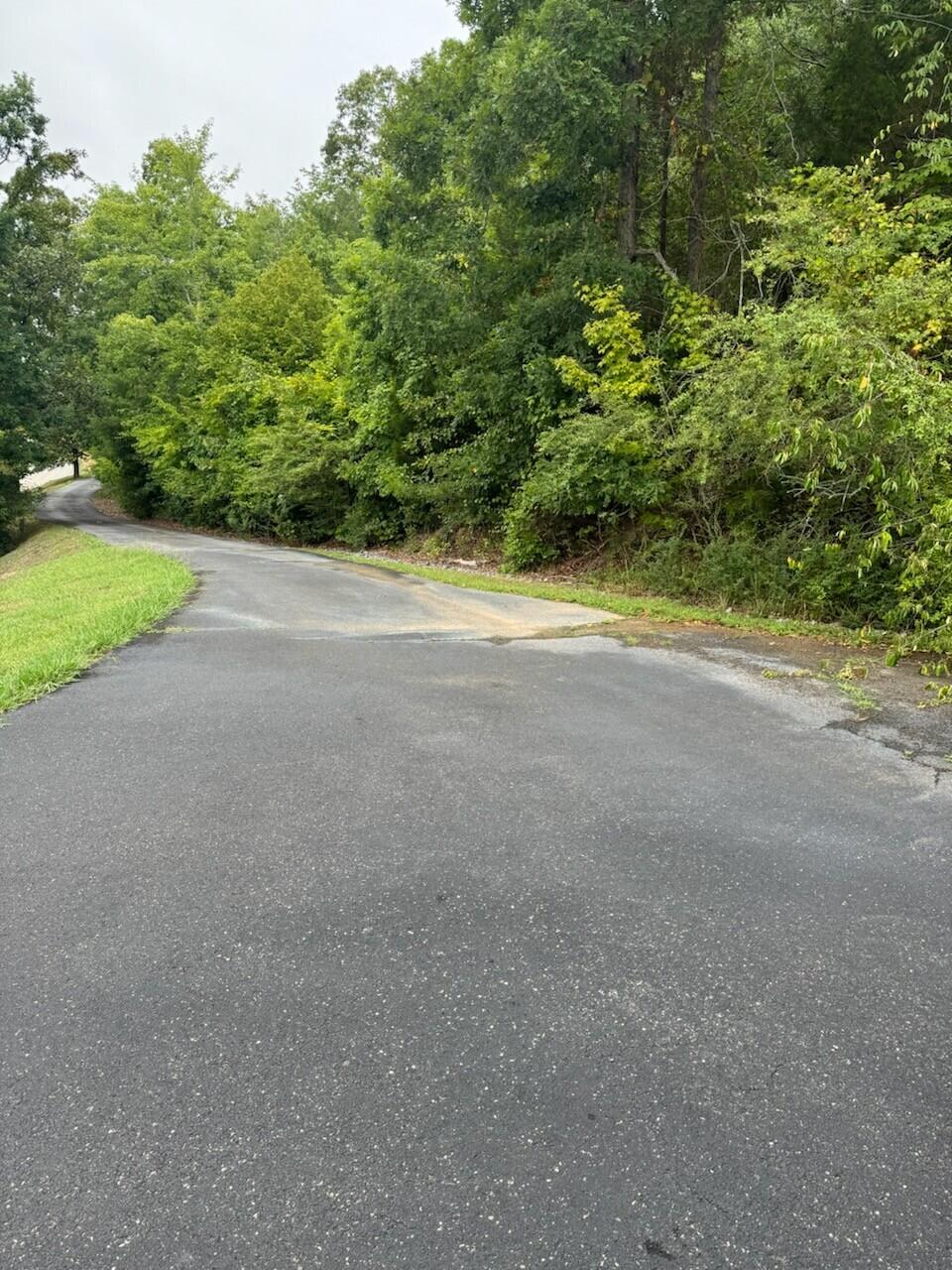 0 Short Tail Springs Road Harrison, TN 37341 - Photo 1 of 1 0 short tail springs road