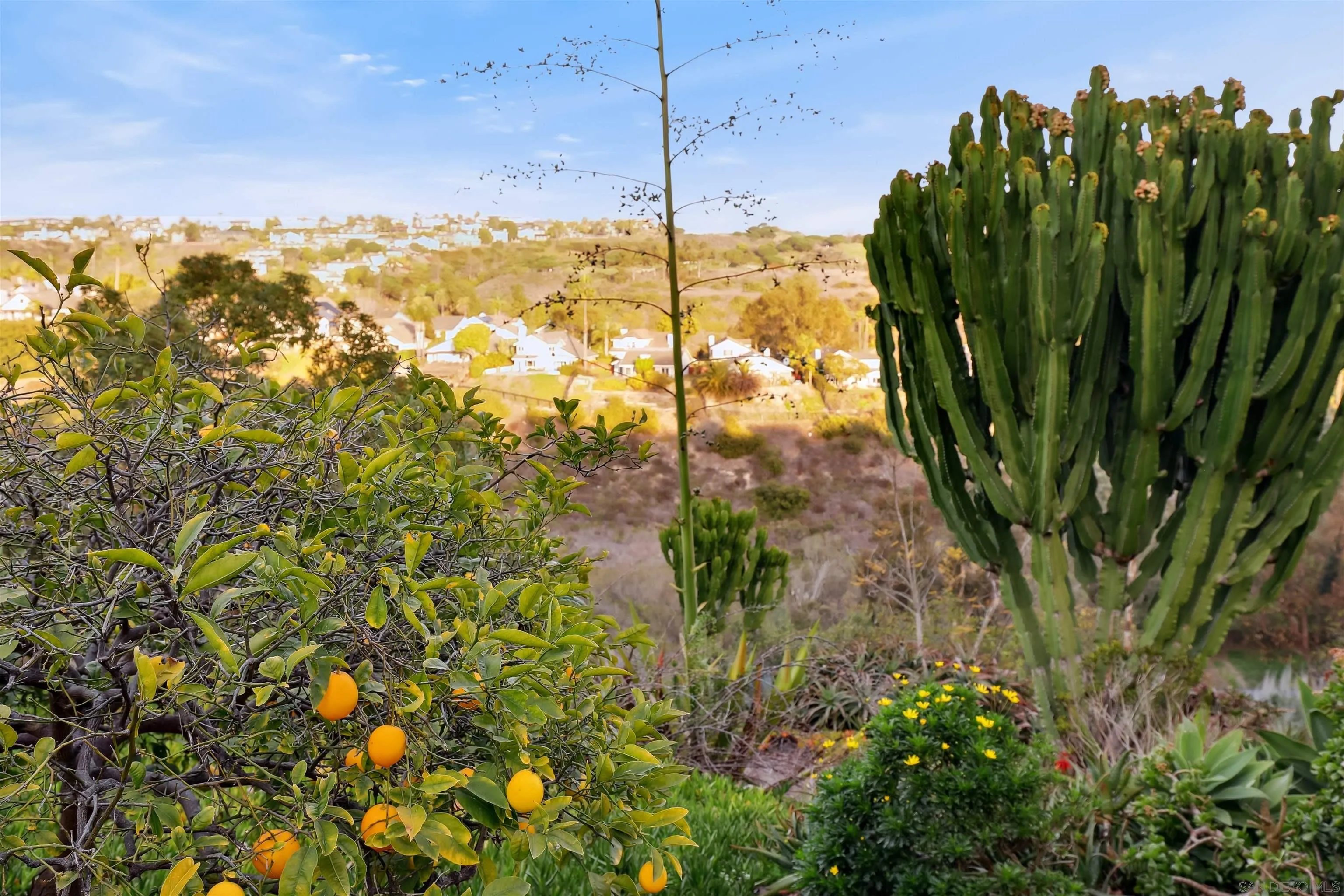 1449 Rainbow Ridge Lane Encinitas, CA 92024 - Photo 36 of 58 a view of a garden