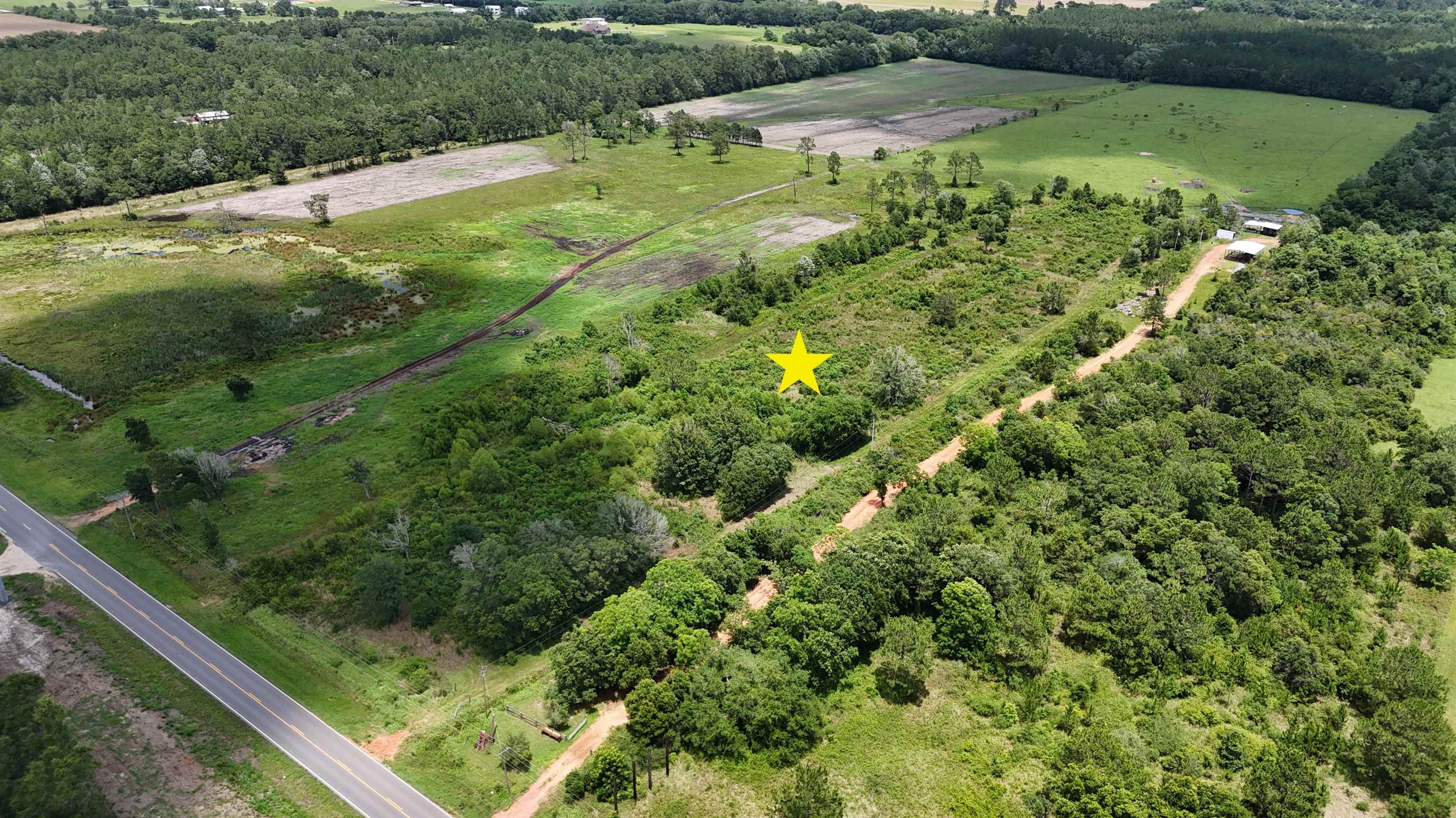10804 County Road 95 Elberta, AL 36530 - Photo 3 of 7