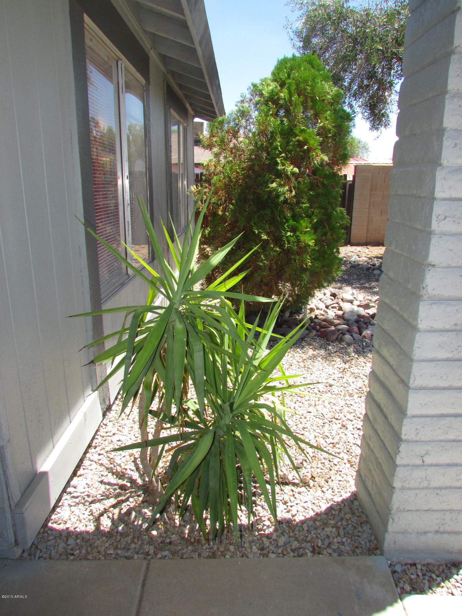 4336 East Vineyard Road Phoenix, AZ 85042 - Photo 3 of 36 AIMG_2658