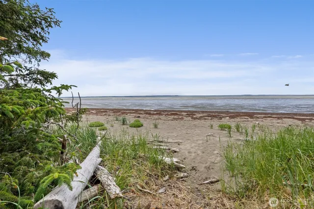 a view of a lake with a city