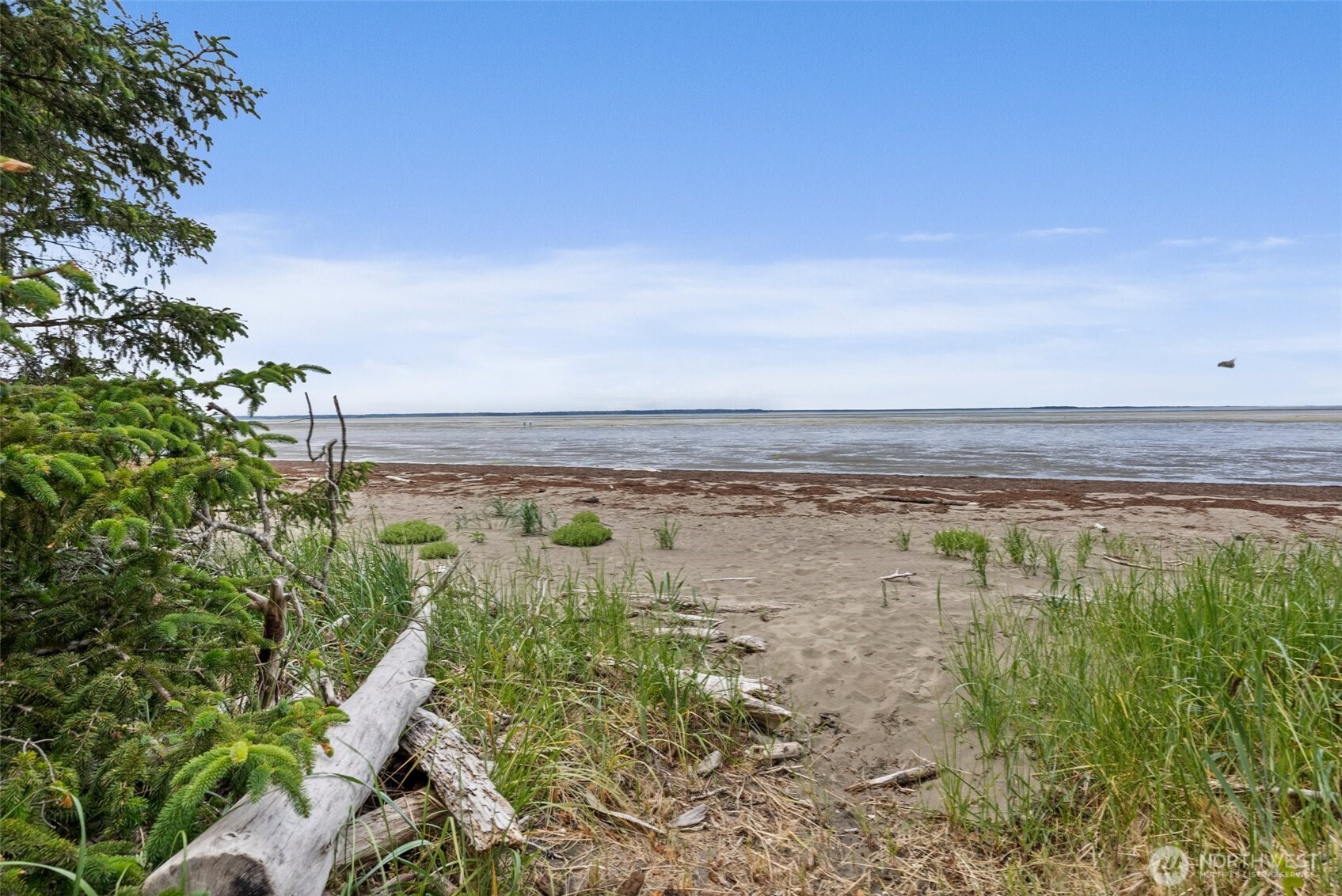56 Ranta Road South Bend, WA 98586 - Photo 13 of 20 a view of a lake with a city
