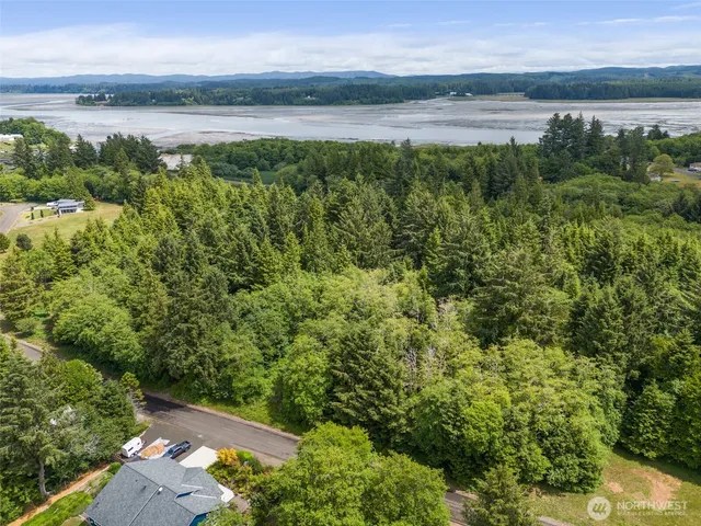 a view of a lake from a yard